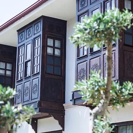 Hotel Livia Garden