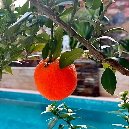 Hotel Livia Garden Selcuk